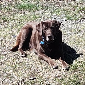 Meet your Posher, Jolene